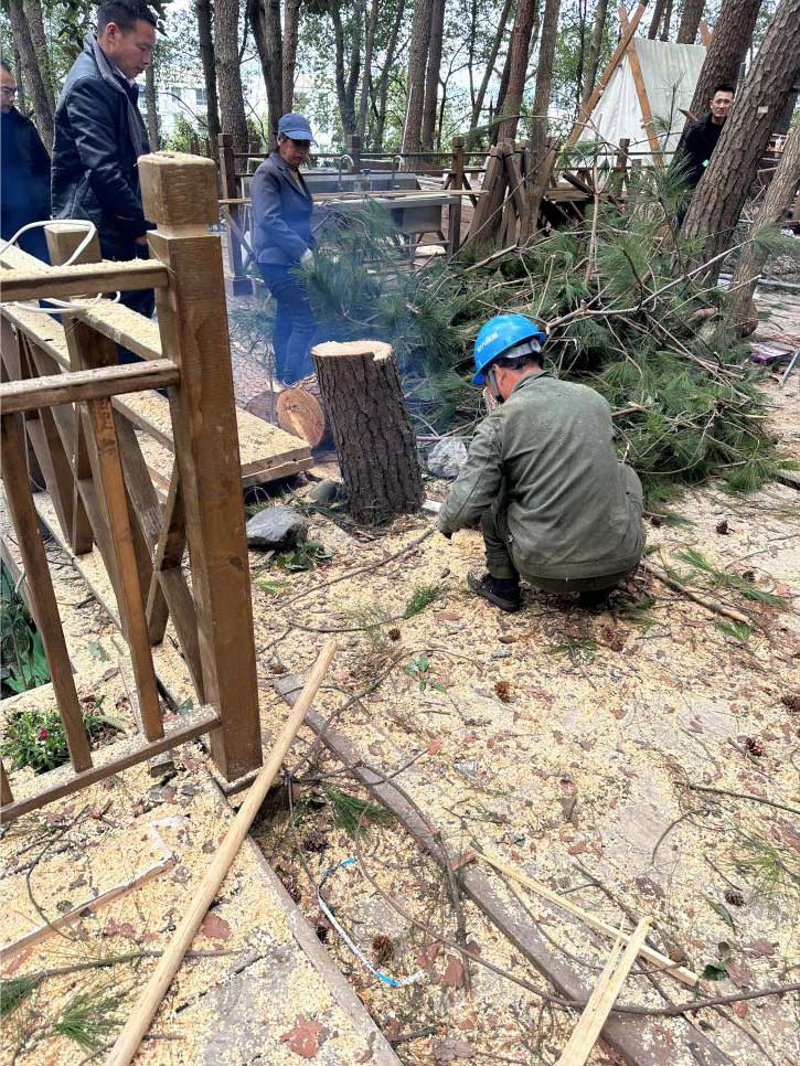 排除隱患，國(guó)資公司砍樹(shù)解民憂(yōu)