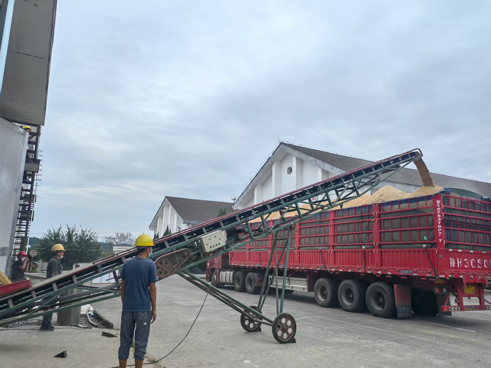 筑牢倉儲(chǔ)“安全線” 夯實(shí)輪換“基礎(chǔ)樁”——區(qū)國投集團(tuán)扎實(shí)守好糧食安全關(guān)